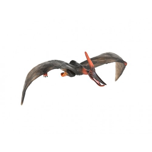 Pteranodon- escala 1:40