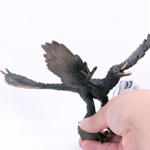 Microraptor - escala 1:6
