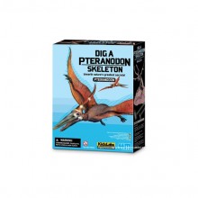 Explora os dinossauros Pteranodon  - KidzLabs