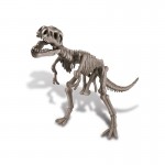 Explora os dinossauros T- Rex - KidzLabs