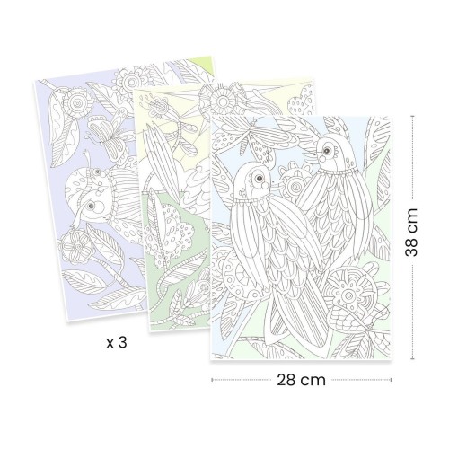 PÁSSAROS - COLOURING GALLERY