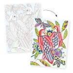 PÁSSAROS - COLOURING GALLERY