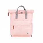 CANFIELD B - PUNCH M