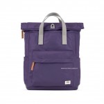 CANFIELD B - MAJESTIC PURPLE M