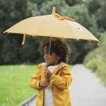 Guarda chuva - Mr. LION