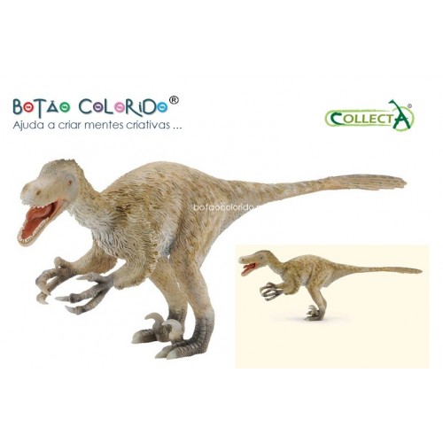 Velociraptor - escala 1:6