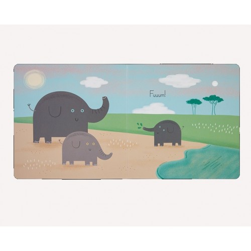 VER, LER & OUVIR — ZOO